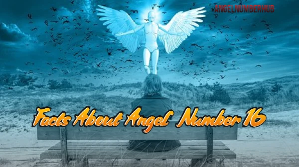 Facts About Angel Number 16