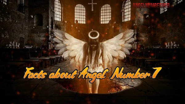 Facts about Angel Number 7