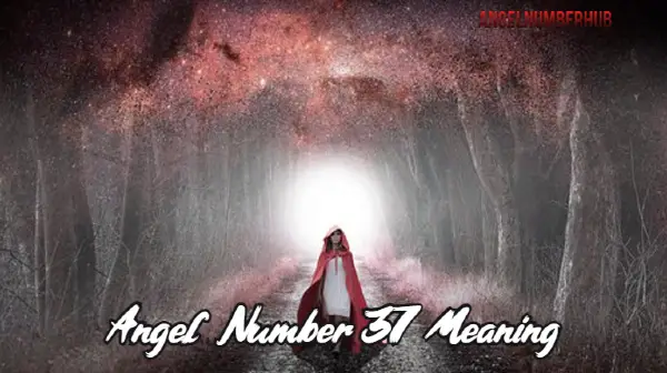 Angel Number 37 Meaning