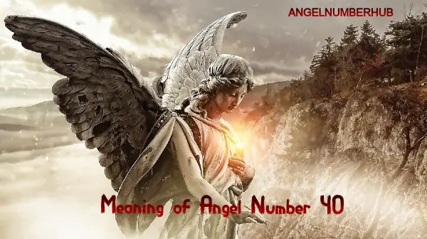 Meaning of Angel Number 40