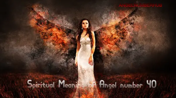 Spiritual Meaning of Angel number 40