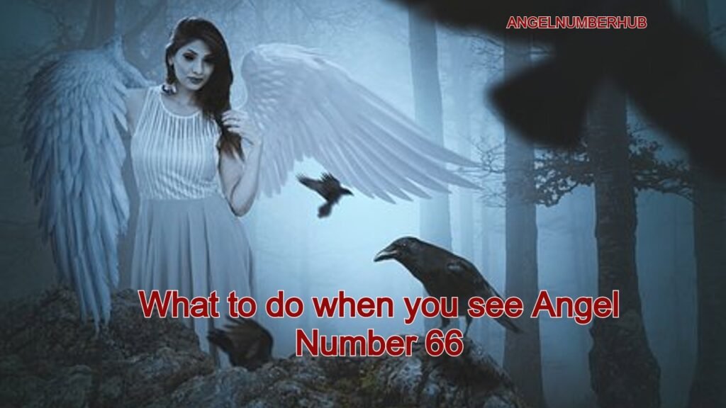 What to do when you see Angel Number 66