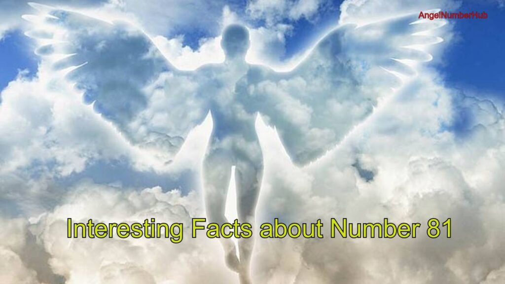 Angel Number 81 Facts