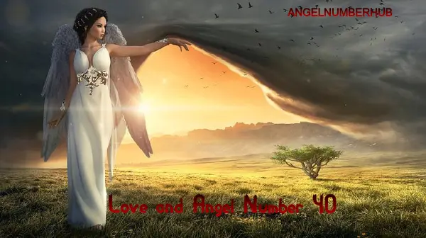 Love and Angel Number 40